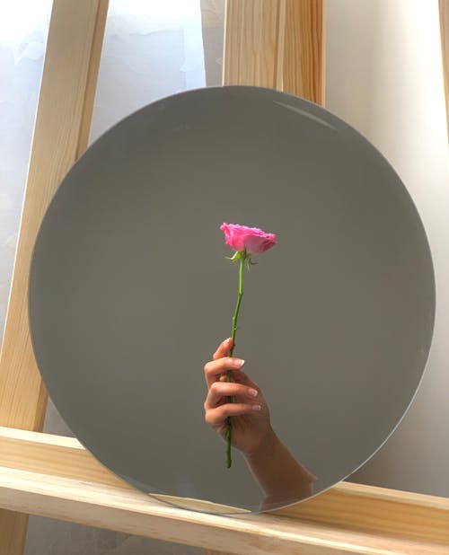镜子反射嫩手与粉红玫瑰 · 免费素材图片