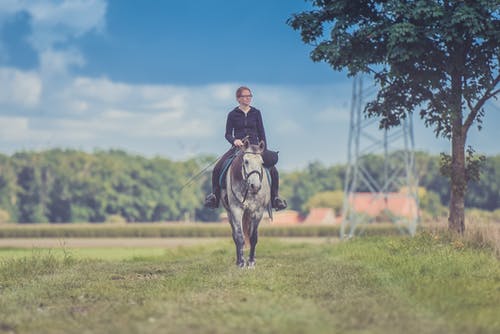 女人骑着马在树附近 · 免费素材图片