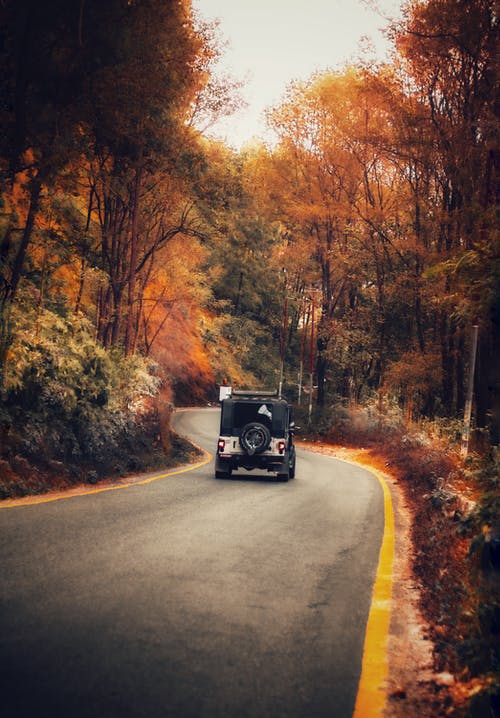 有关下落, 垂直拍摄, 季节的免费素材图片