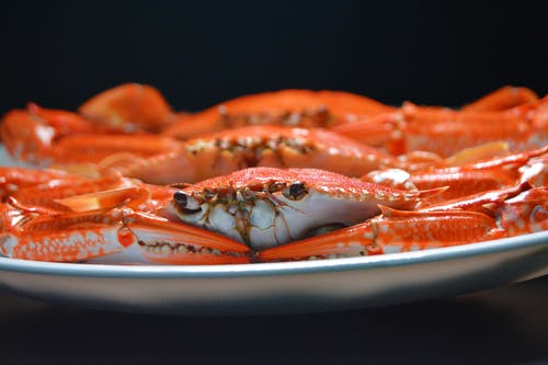 煮熟的蟹在盘子上 · 免费素材图片