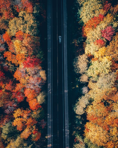 银车在路上跑 · 免费素材图片