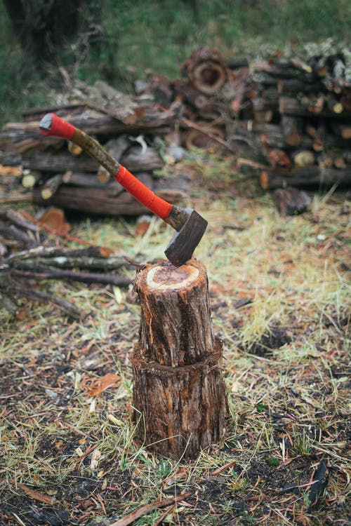 斧头在木原木上的照片 · 免费素材图片