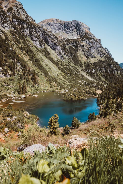 有关垂直拍摄, 天性, 户外的免费素材图片