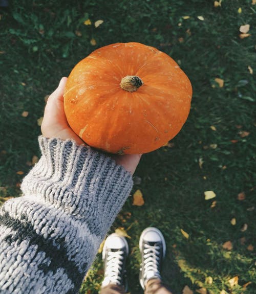 有关人, 俯视图, 南瓜的免费素材图片