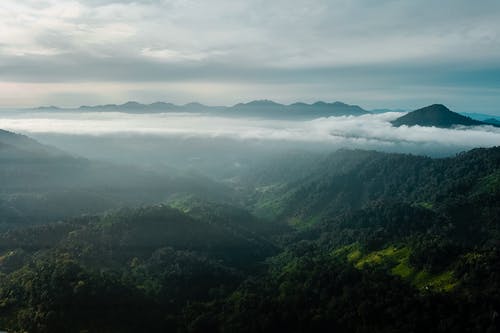 有关原本, 和平的, 和谐的免费素材图片