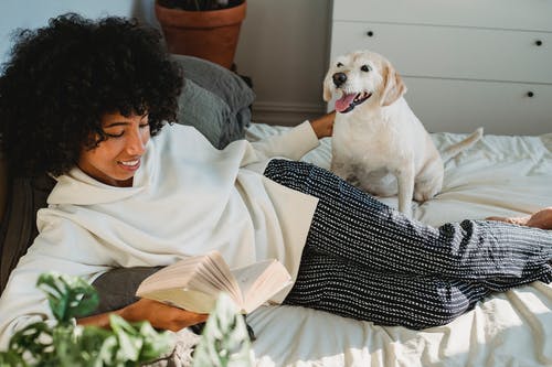 微笑的年轻黑人妇女爱抚的狗，当基于床和阅读书时 · 免费素材图片