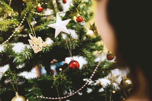 绿色圣诞树与装饰的选择性焦点摄影 · 免费素材图片