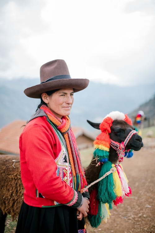 站立在有逗人喜爱的喇嘛的农村路的传统成套装备的盖丘亚族人的妇女 · 免费素材图片