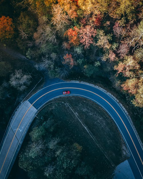 树木之间的道路上行驶的汽车的航拍 · 免费素材图片