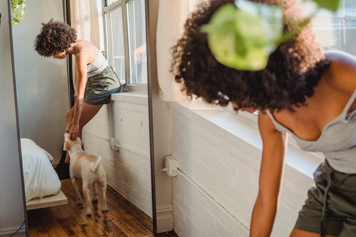 黑人妇女爱抚狗在卧室 · 免费素材图片