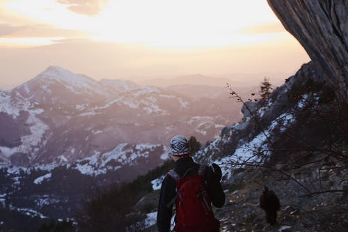 黑色和红色外套，戴着黑色头盔站在棕色树枝上的男人 · 免费素材图片