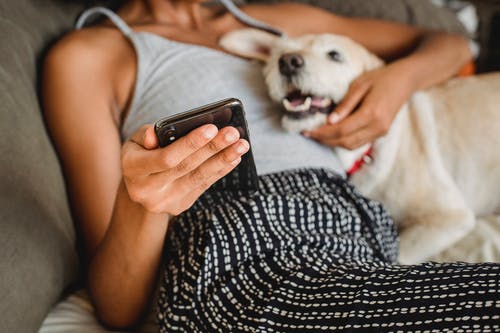 有智能手机的拥抱种族妇女拥抱在床上的逗人喜爱的狗 · 免费素材图片