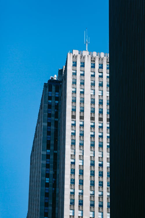 有关中央, 从下面, 低角度的免费素材图片