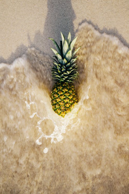 菠萝在水感动的沙滩上 · 免费素材图片