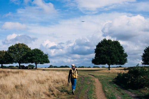 白天在多云的蓝天下的绿色草地上行走的黄色和黑色背包里的人 · 免费素材图片
