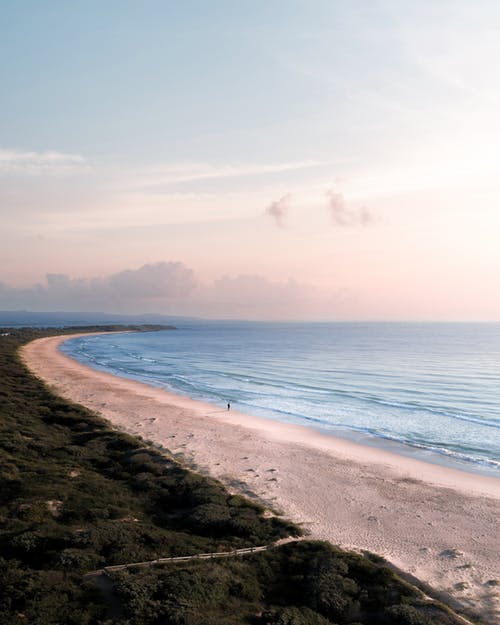 树木和海上日落之间的沙质海岸 · 免费素材图片