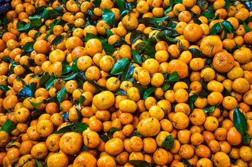 新鲜的橙色水果 · 免费素材图片