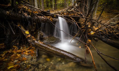 树木环绕的瀑布的延时摄影 · 免费素材图片