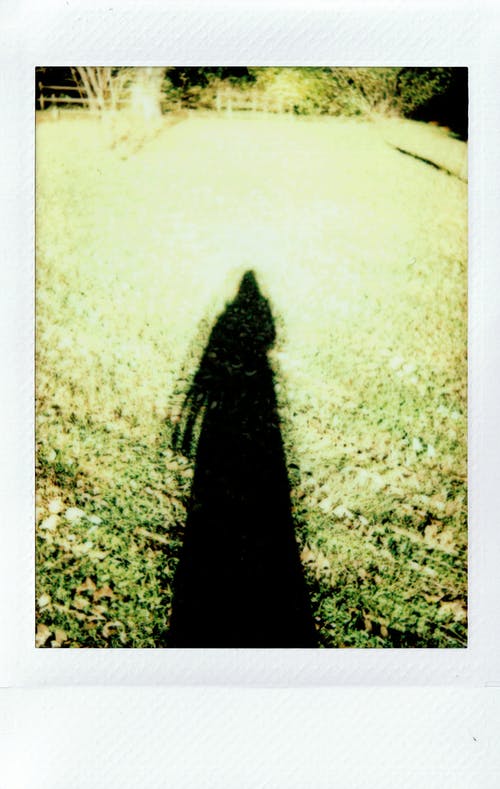 一个人在草地上的长长的影子 · 免费素材图片