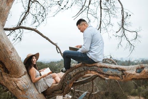 外面夫妇看书 · 免费素材图片