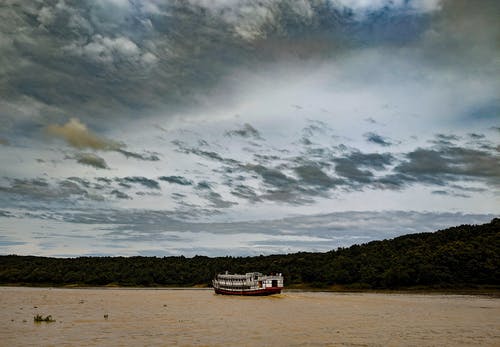 有关交通系统, 天性, 户外的免费素材图片