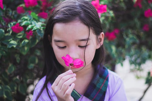 嗅到粉红色的花的紫色上衣的女孩 · 免费素材图片