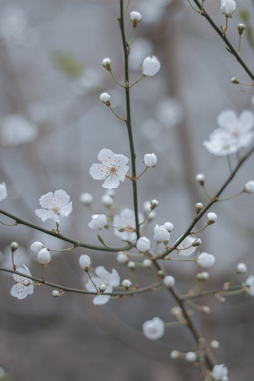 有关垂直拍摄, 增长, 天性的免费素材图片