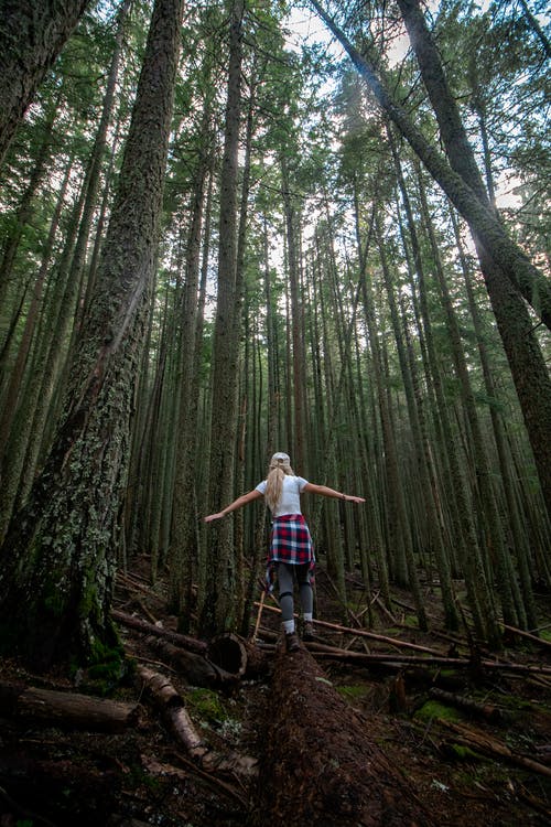 在森林里的日志上行走的女人 · 免费素材图片