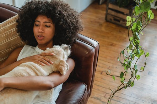放松与狗的沙发上的黑女人 · 免费素材图片