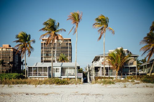 白天在蓝天下的棕榈树和建筑物 · 免费素材图片