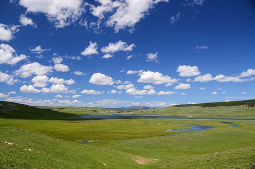 蓝多云的天空下的绿色田野 · 免费素材图片