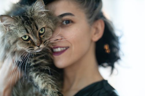 女人携带棕色虎斑猫 · 免费素材图片