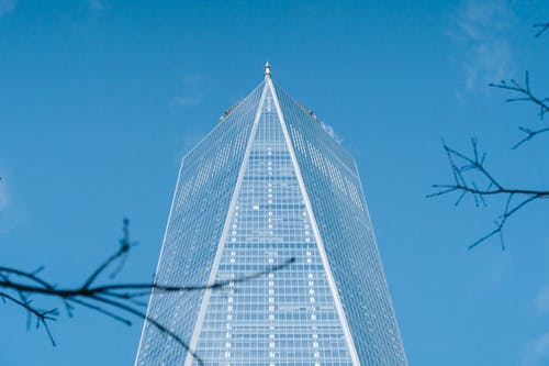 有关不动产, 从下面, 低角度的免费素材图片