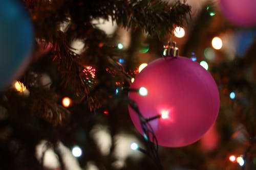 圣诞树在晚上的特写镜头 · 免费素材图片