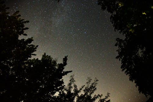 有关剪影, 勘探, 夜空的免费素材图片