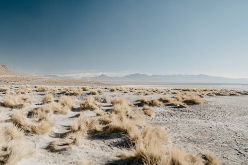 高原高地干旱干旱 · 免费素材图片