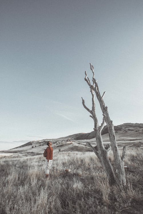 场上人 · 免费素材图片