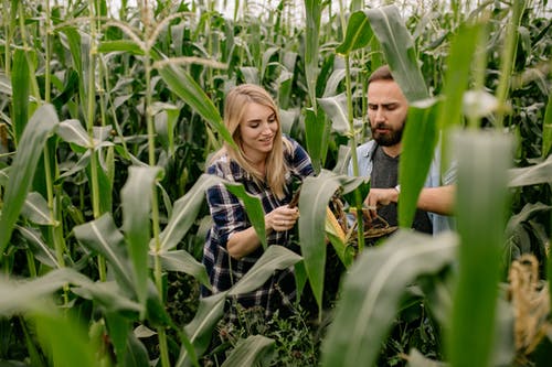 有关一对, 坐下, 户外的免费素材图片