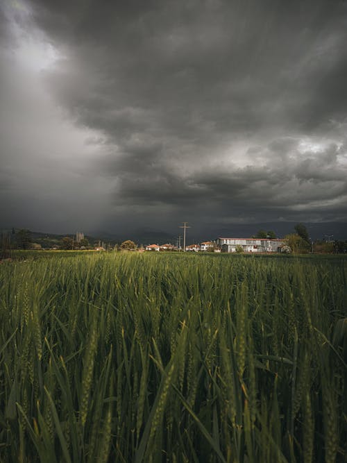 有关不动产, 住, 住宅的免费素材图片