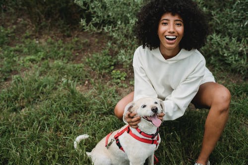 幸福的黑女人爱抚纯种狗在公园 · 免费素材图片