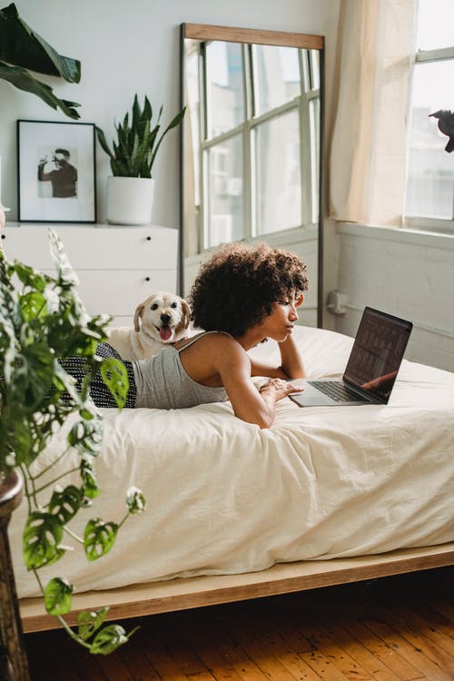 轻松的黑女人看笔记本电脑在床上的狗附近 · 免费素材图片