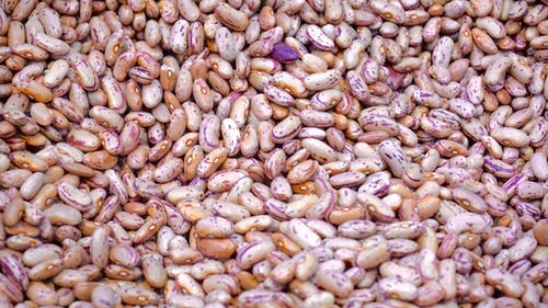 米色和紫色豆 · 免费素材图片