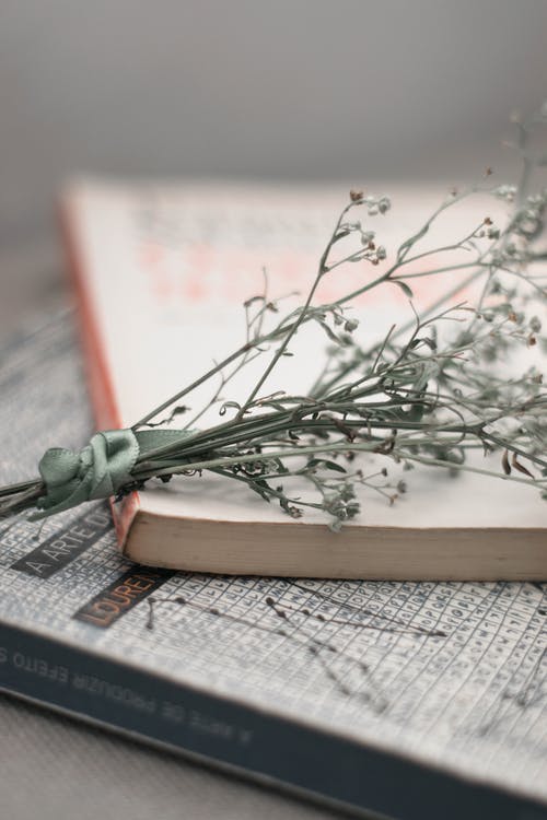 束小花，一本书 · 免费素材图片
