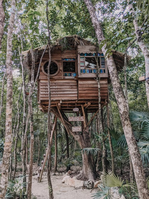 树上的棕色木制树屋 · 免费素材图片