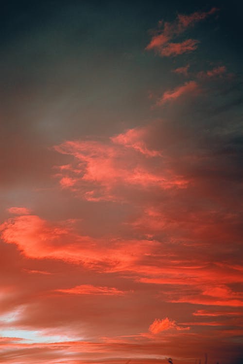 红色的天空 · 免费素材图片