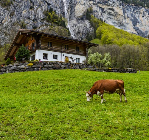 有关住宅, 侧面图, 冷静的免费素材图片