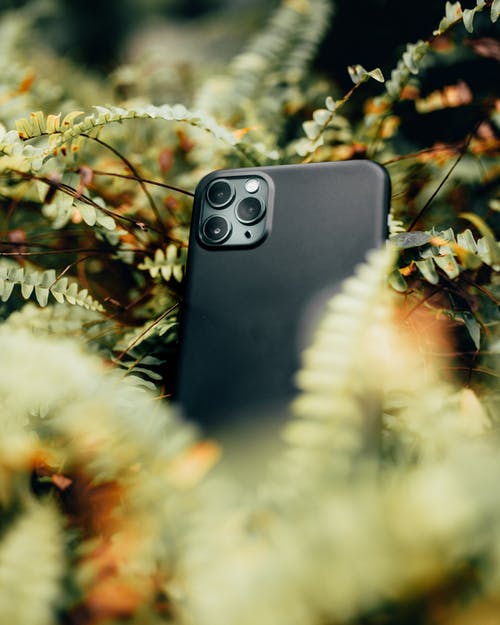 黑色智能手机被植物包围 · 免费素材图片
