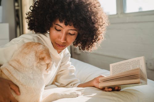 冷静与可爱的狗在床上休息和读小说的年轻黑人女士 · 免费素材图片