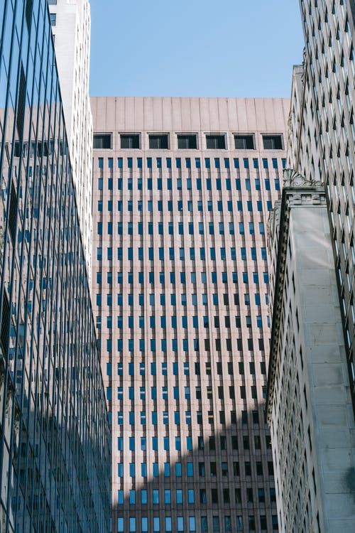 有关中央, 从下面, 低角度的免费素材图片