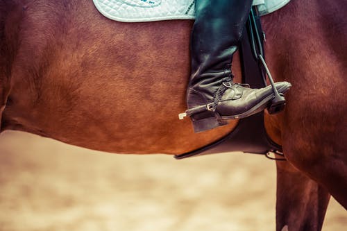 有关靴子, 马, 骑乘交通工具的免费素材图片